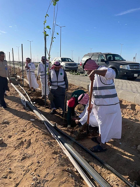 "بيئة رابغ" يطلق مبادرة تشجير وزراعة 700 شتلة بكورنيش المحافظة