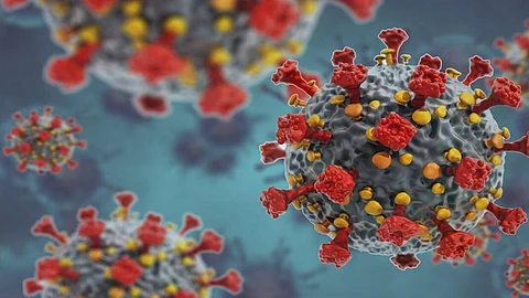 فرق واحد أساسي بينه وبين كورونا.. 4 حقائق هامة عن فيروس HMPV المنتشر بالصين ويثير المخاوف