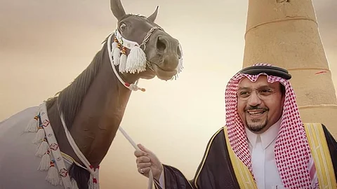 أمير القصيم يوجّه بإقامة بطولة جَمال الخيل العربية الأصيلة في أبريل