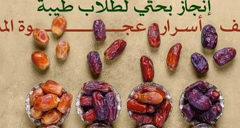 طلاب طيبة يكشفون سر "تمر العجوة" كمضاد للفيروسات ويحصدون المركز الرابع في دوفات 2025