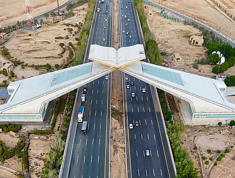 450 حالة عنف وإيذاء أسري في مكة خلال 2024.. 80% أُحيلت للتأهيل النفسي