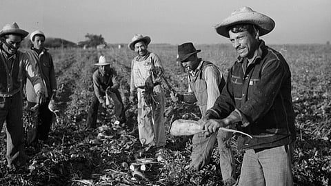 ترامب يَعِدُ بـ"أكبر عملية ترحيل" في تاريخ أمريكا.. فمَن الرئيس الذي فعلها قبله وطرد مليون مكسيكي؟