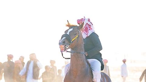 مهرجان شرورة الشتوي في نسخته الـ7..وجهة تراثية وسياحية تستقطب السياح
