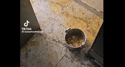 "الخضيري": هناك قنبلة موقوتة قد تنفجر بسبب سوء الاستخدام أو الجهل بطريقة الطهي