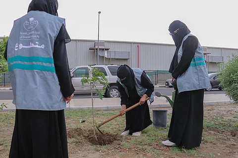 أمانة الطائف : 136 مبادرة تطوعية لتعزيز الغطاء النباتي ومكافحة التصحر في 2024