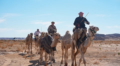 5 رحالة بريطانيين يبدؤون رحلة على ظهور الإبل لقطع 500 كلم داخل "محمية الملك سلمان الملكية"