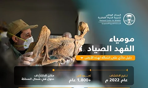 "الحياة الفطرية": اكتشاف مومياوات الفهد الصياد يُثبت انتماءه للجزيرة العربية