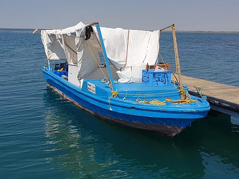 ضبْط مخالفين لأنظمة الصيد في القنفذة.. اصطادوا 40 استاكوزا محظورة