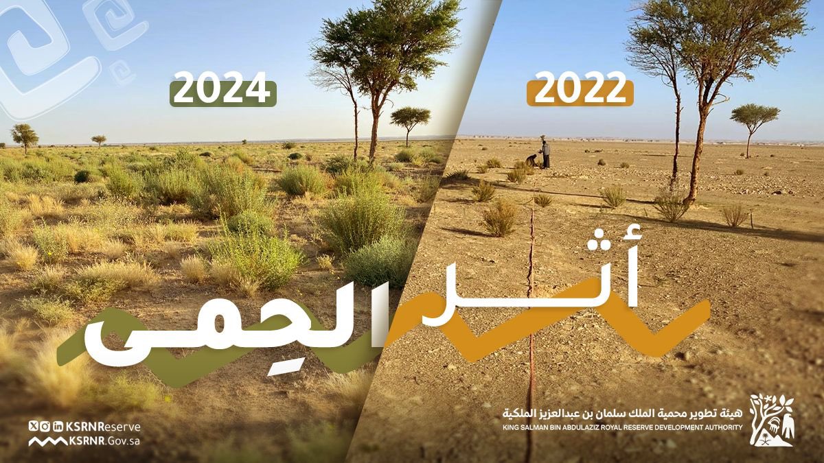 "حِمى محمية الملك سلمان".. من أرضٍ قاحلة إلى واحةٍ تنبض بالحياة