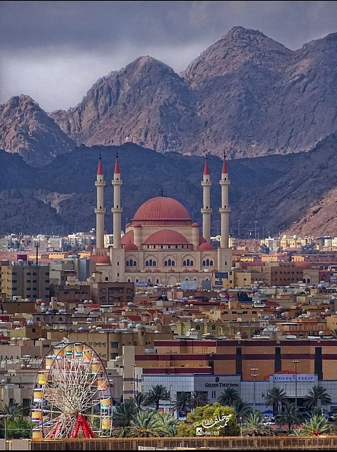 في لفتة كريمة.. مواطنة بحائل تقدم إفطارًا مجانيًا في رمضان للطالبات المغتربات