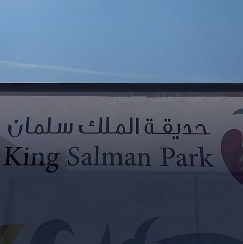 مهندس ألماني: حديقة الملك سلمان ستُخفض حرارة الرياض 12 درجة مئوية