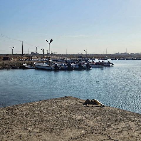 مكتب البيئة برابغ يُحذِّر من استخدام وسائل الصيد المحظورة.. ويُنفِّذ جولات رقابية على "مرفأ مستورة"