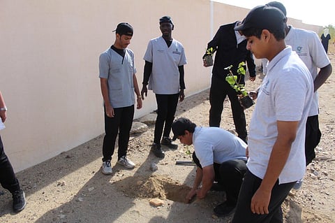 "بيئة تربة" تُنفِّذ مبادرة تشجير الكلية التقنية بالمحافظة