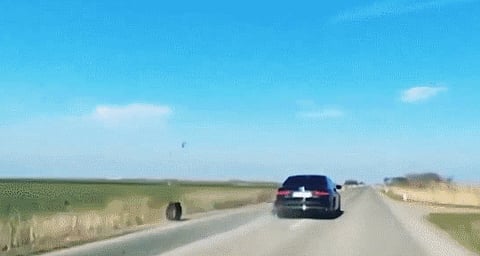 بالفيديو.. شاهد انفجار وانفصال إطار سيارة رئيس صربيا