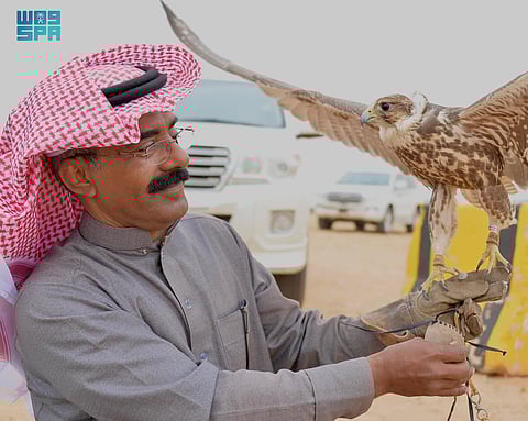 مهرجان الصقور بالقصيم يشهد إقبالاً واسعاً ويجمع عشاق الصقارة في أجواء تنافسية حماسية