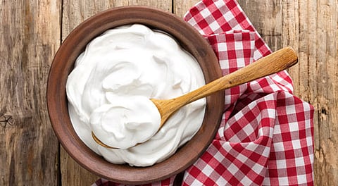 الخضيري: اللبن والزبادي لا يفسدان بسرعة.. والبكتيريا النافعة تمنع نمو الضارّة