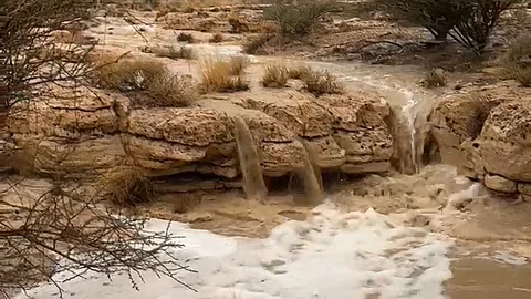 شاهد.. هطولات الأمطار الصباحية على أجزاءٍ من الحاير والخرج والواشلة