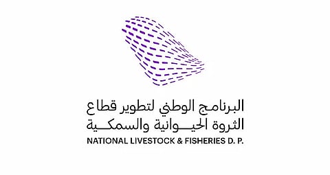 فرص استثمارية واعدة.. برنامج تطوير الثروة الحيوانية والسمكية يستعرض أهمية قطاع الإبل