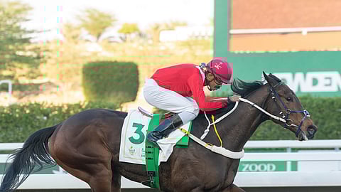 كأس السعودية: الفارس السعودي يحصد أول جولتين في تحدي الخيالة أمس الجمعة