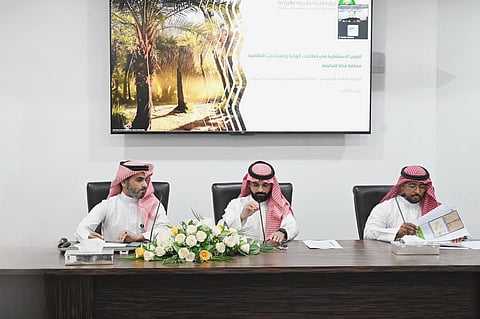 طرح ٧ فرص استثمارية لمشاريع زراعية وحيوانية بمكة المكرمة