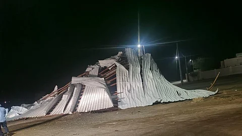 المغزالية بالرين .. العواصف تقتلع "شينكو" وتسقط أعمدة كهرباء والشركة تتفاعل