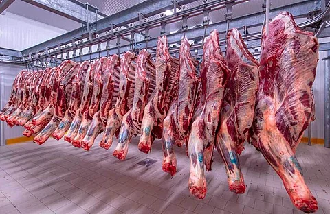 ضبطوا بعد تتبع "اللحوم المفرومة".. 5 سنوات سجناً لباعة لحوم الحمير والبغال بالجزائر