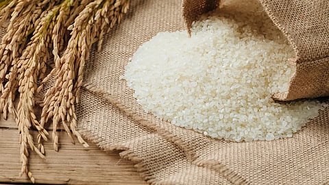 طرق فعالة لكشف الأرز المغشوش والتأكد من جودته