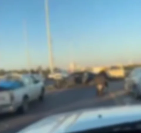 عكس السير في محتوى مرئي ينتهي بمأساة في بريدة.. وفاة و3 إصابات في حادث تصادم مروري