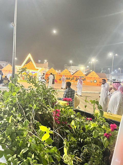 مكاتب البيئة بالعرضيات والطائف والكامل والخرمة تُسهم بتوزيع وزراعة 1728 شتلة زراعية