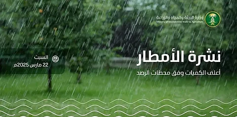 "البيئة" ترصد هطول أمطار في 7 مناطق والرياض تُسجّل أعلى كمية