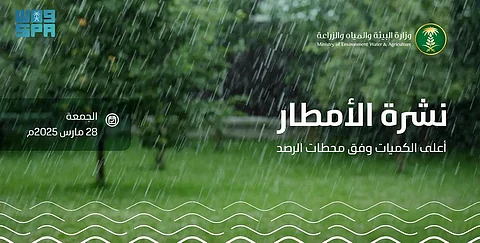 "البيئة" تسجّل هطول أمطار في 6 مناطق.. والشفا بالطائف الأعلى بـ24.2 ملم