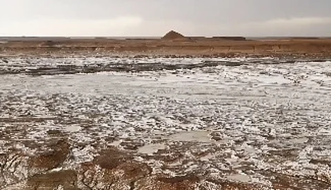 شاهد.. "بردية تيماء" تكسو الأرض بالبياض
