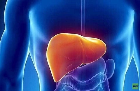 تعرف عليها.. علامات تحذيرية لأمراض الكبد
