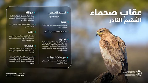 "الحياة الفطرية" عن "عقاب صحماء": طائر نادر يواجه خطر الانقراض