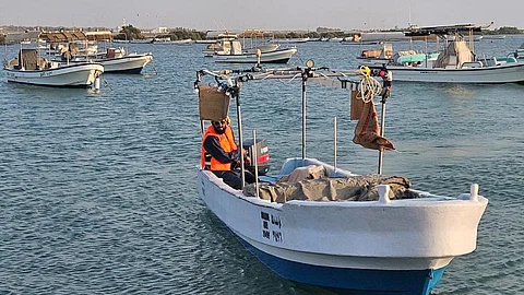 رابغ تكثّف الرقابة على مرفأ الصيد وتزرع 70 شتلة في القضيمة ضمن جهود حماية البيئة البحرية