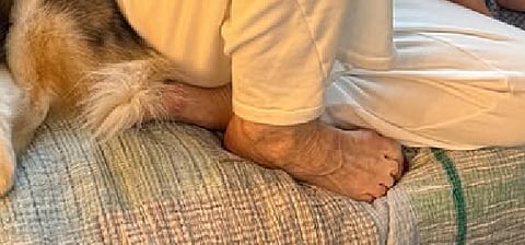 بعد صورة المذيعة البريطانية.. "قدم أوزمبيك" تثير مخاوف جديدة من علاج السمنة الشهير