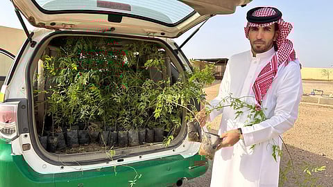 "بيئة الخرمة" يُطلق مبادرة لتشجير مسلخ مركز الغريف تعزيزاً للغطاء النباتي