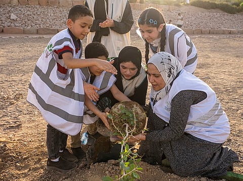 المدينة تزرع الوعي... "بيئتنا أمانة" تُشجّر وادي قناة وتغرس ثقافة الاستدامة