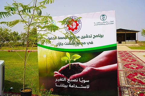 "أسمنت الجنوبية" تُطلق مبادرة "البصمة الخضراء" لزراعة 150 ألف شجرة في جازان