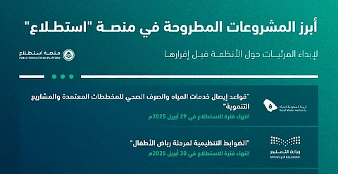 بينها "توصيل المياه للمخططات" و"مركز عالمي للذكاء الاصطناعي".. طرح 24 مشروعًا عبر "استطلاع"