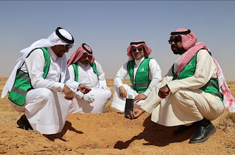 حملة تشجير لمحمية الملك سلمان… 10 آلاف شتلة تُزيّن تبوك ضمن أسبوع البيئة