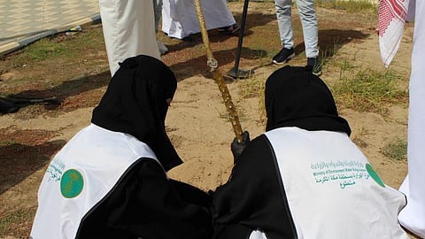 مكة المكرمة... 325 شتلة تُزهر في العاصمة المقدسة ضمن أسبوع البيئة 2025