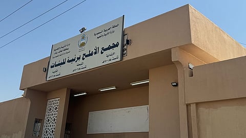 بيئة رنية تزرع أكثر من 100 شتلة في مجمع الأملح للبنات ضمن مبادرات السعودية الخضراء