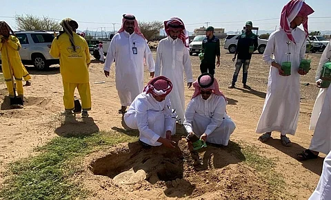 "بيئة الطائف" تنفذ حملة تشجير في الأملح دعماً لمبادرة "السعودية الخضراء"