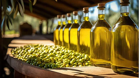 الزيتون التونسي يتوّج بالمرتبة الأولى عالميًا أمام اليونان وإسبانيا