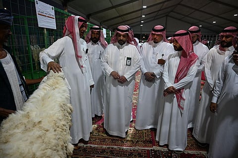 بيئة مكة تطلق مهرجان الأنعام الأول بجدة لتعزيز تنمية الثروة الحيوانية بالمملكة