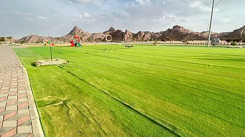 مرتادو "الحديقة الغربية" بالسليمي يطالبون بصيانتها وتحسين مرافقها