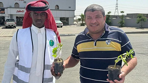 400 شتلة خضراء في رنية.. “البيئة” تدعم الغطاء النباتي وتواجه التصحر