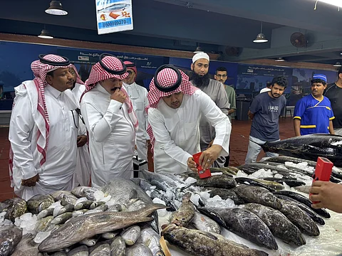 بيئة مكة تنظم ورشة متخصصة لرفع كفاءة المراقبين الصحيين في أسواق اللحوم والأسماك