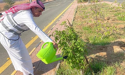 "بيئة خليص" تطلق مبادرة سقيا الأشجار لدعم استدامة التشجير